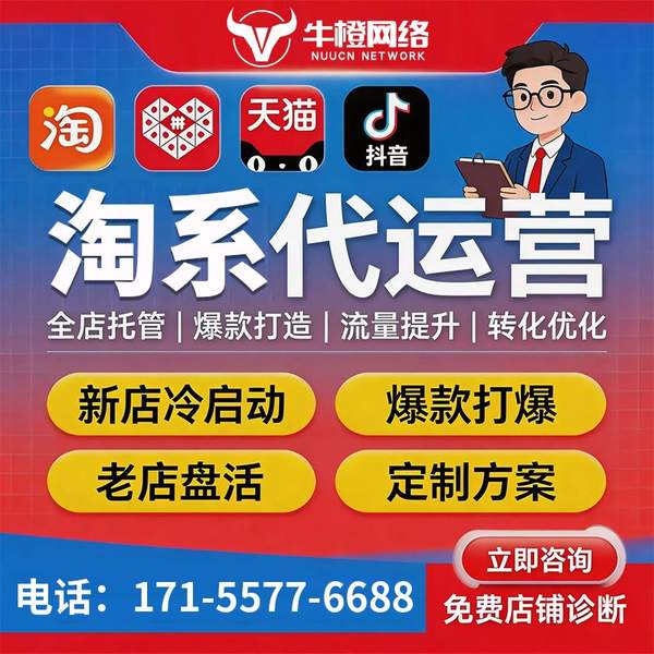 惠州电商代运营
