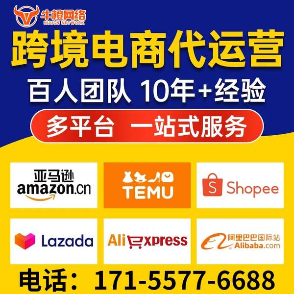惠州电商代运营