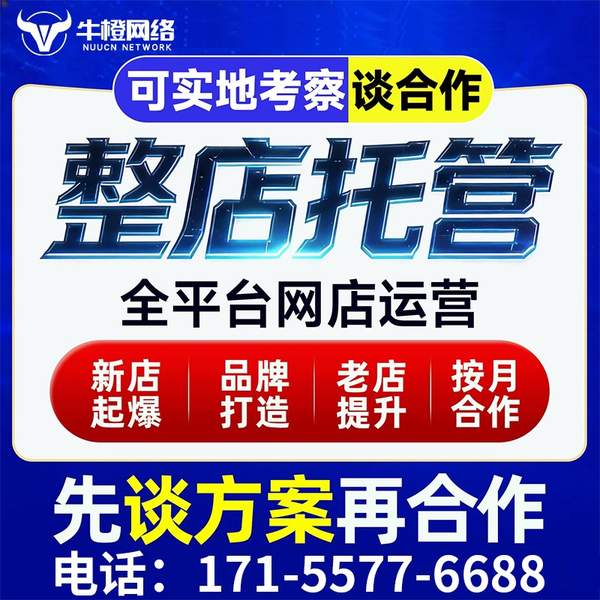 惠州电商代运营