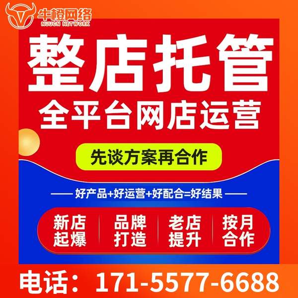 惠州电商代运营
