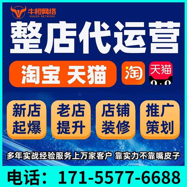 惠州电商代运营