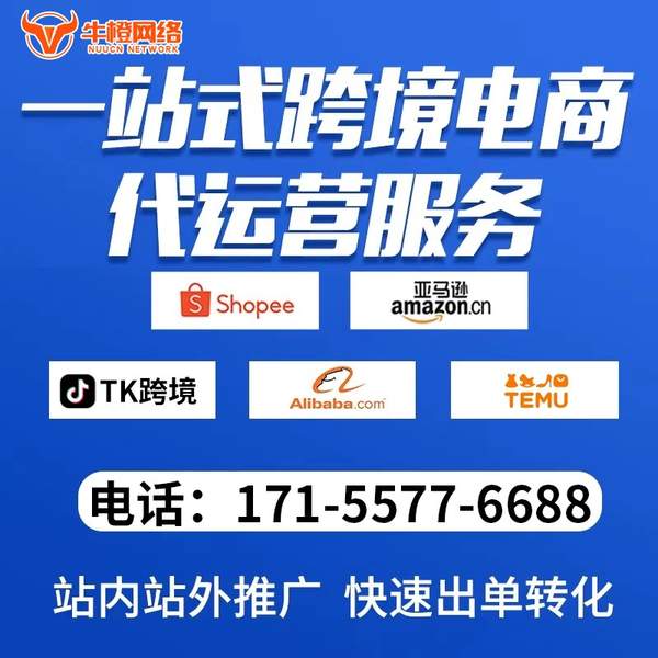 惠州电商代运营