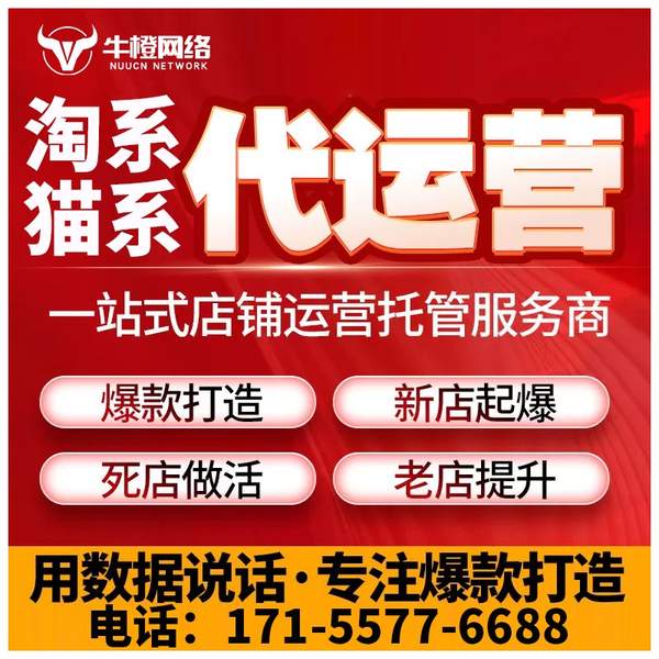 惠州电商代运营